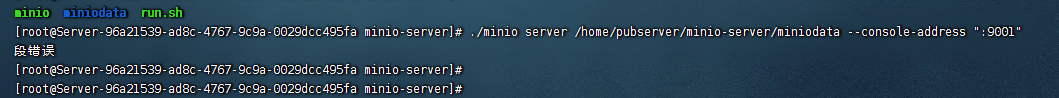 执行minio server启动minio的时候报：段错误，需要怎么解决？